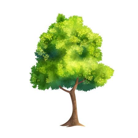 450x450 Elm Tree Clipart