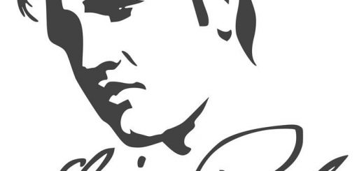 520x245 Elvis Best Vector Download