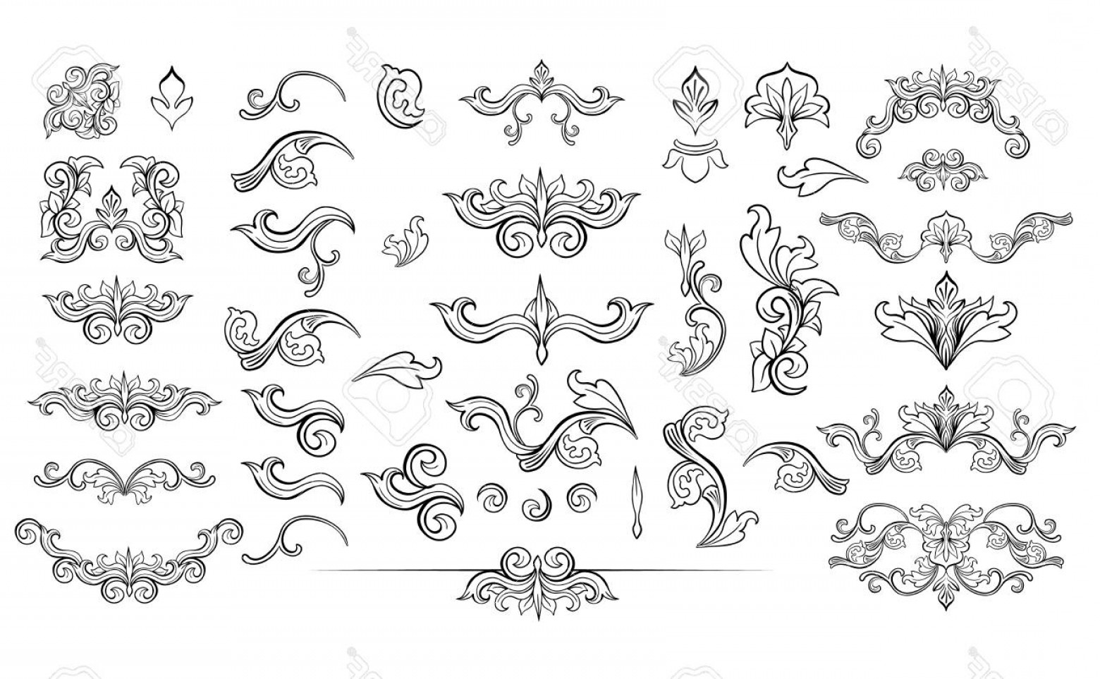 1560x963 Leaf Embellishment Vector Hoodamathrun