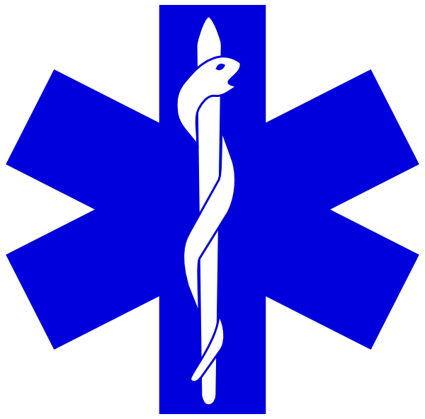 600x592 Paramedic Logo