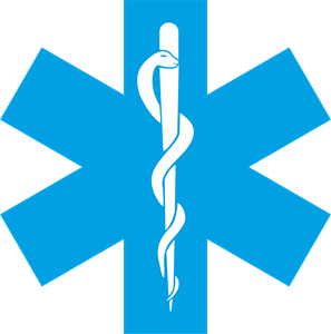 297x300 Star Of Life Logo Vector