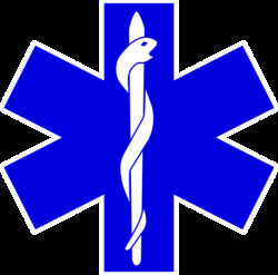 Emt Logos 250x247 Emt Logos