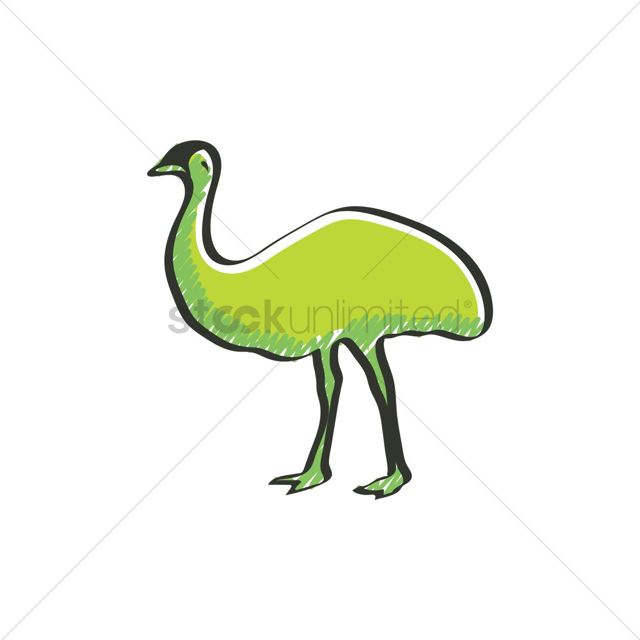 1300x1300 Emu Vector Image