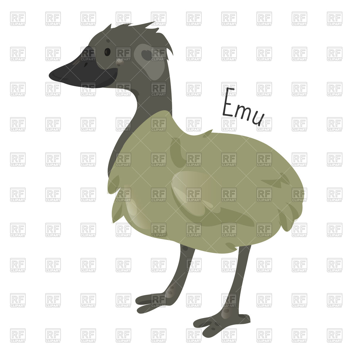 1200x1200 Emu Isolated On White Background Vector Image Of Nature, Landscape