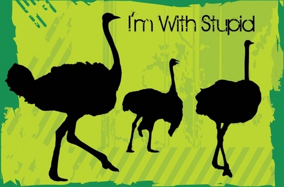 558x368 Free Emu Vector Free Vector Download