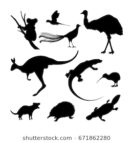 260x280 Set Of Black Silhouettes Of Australian Animals Kangaroo, Koala