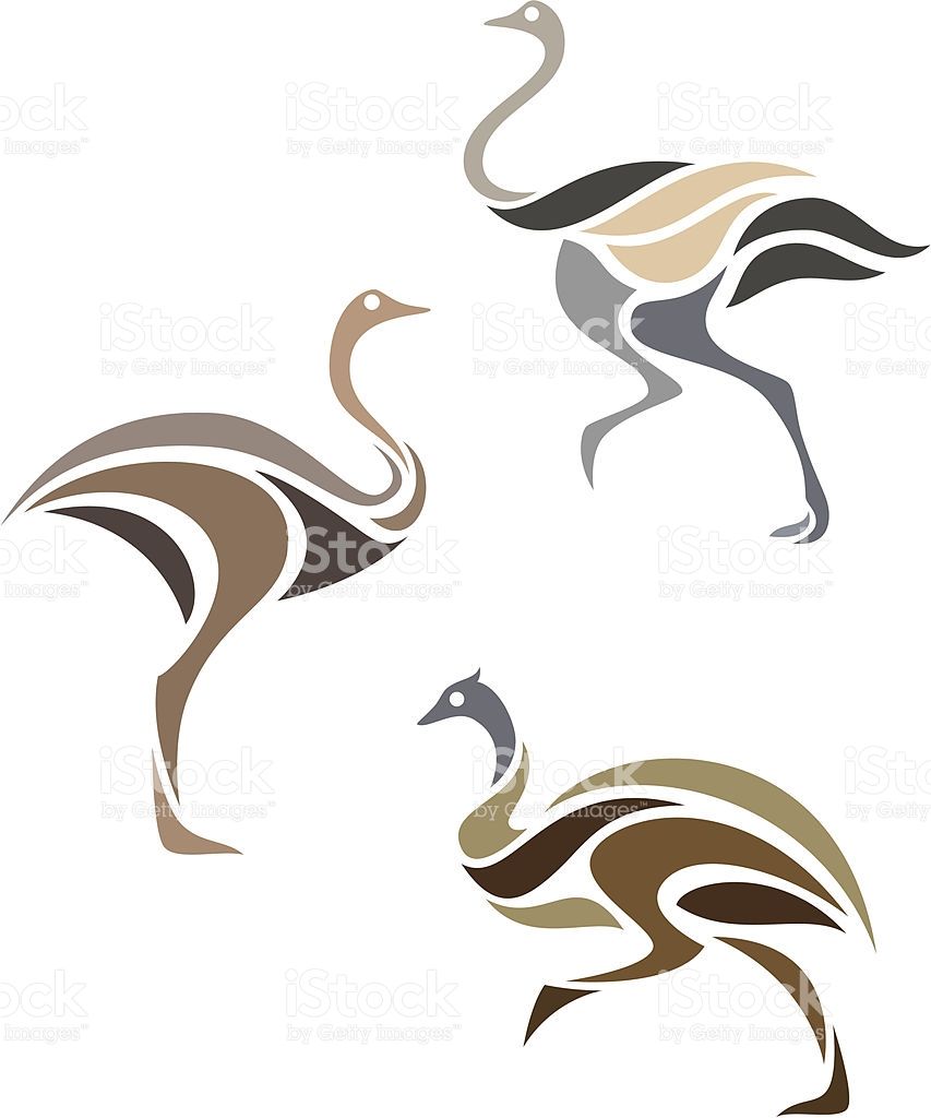 853x1024 Stylized Birds