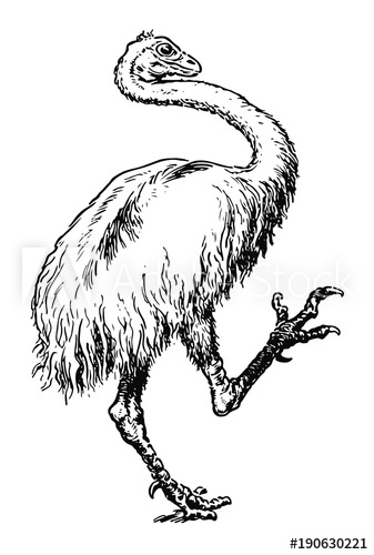 337x500 Urzeitlicher Emu