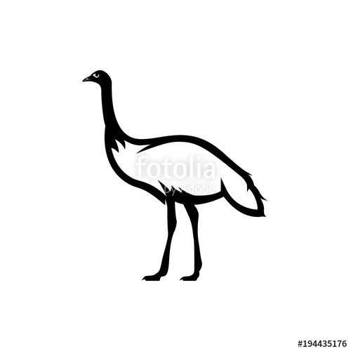 500x500 Emu Vector Silhouette Stock Image And Royalty Free Vector