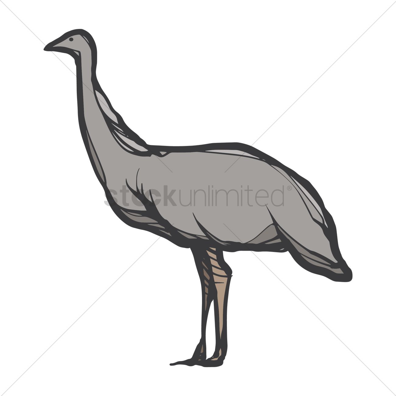 1300x1300 Emu Vector Image