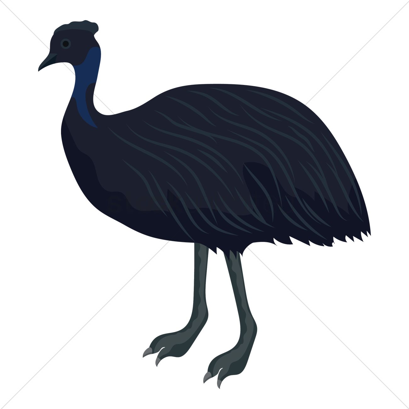 1300x1300 Emu Vector Image