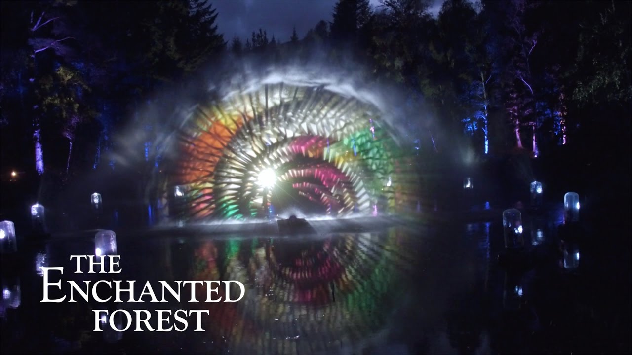 1280x720 Enchanted Forest Exclusive Drone Footage