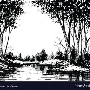 300x300 Vector Frame Forest Landscape Black White Geekchicpro