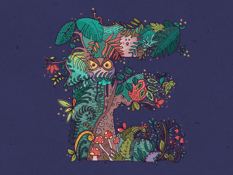 800x600 E For Enchanted Forest