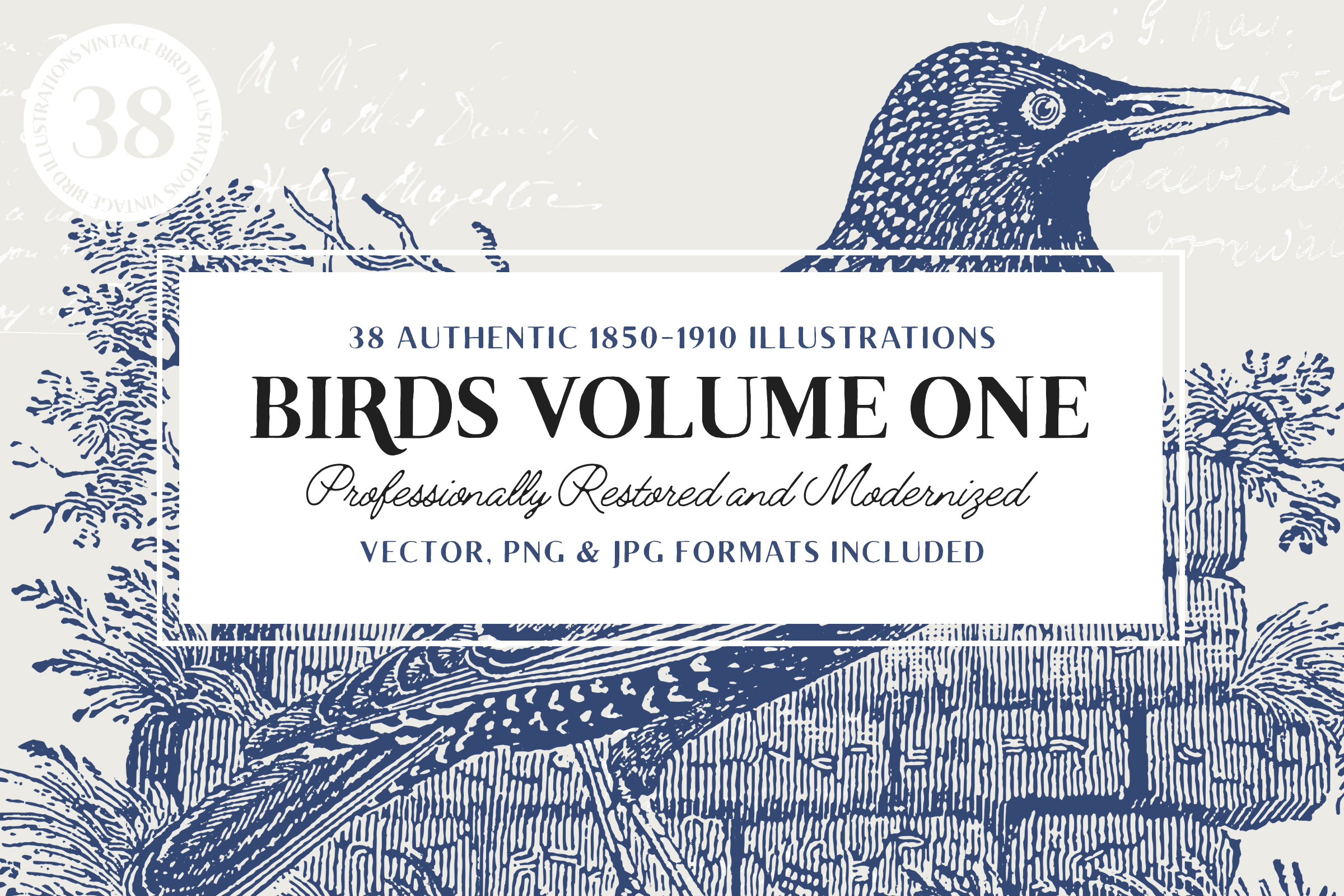 2400x1600 Vintage Engravings Of Birds