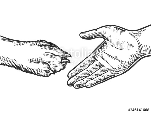 500x375 Human Hand And Dog Paw Handshake Engraving Vector Illustration