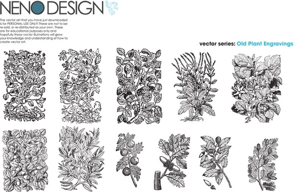 600x393 Old Plant Engravings Free Vector In Adobe Illustrator