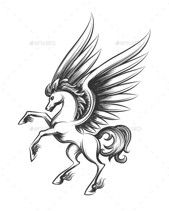 590x738 Winged Horse Engraving Vector Illustration Hand Drawn Pegasus