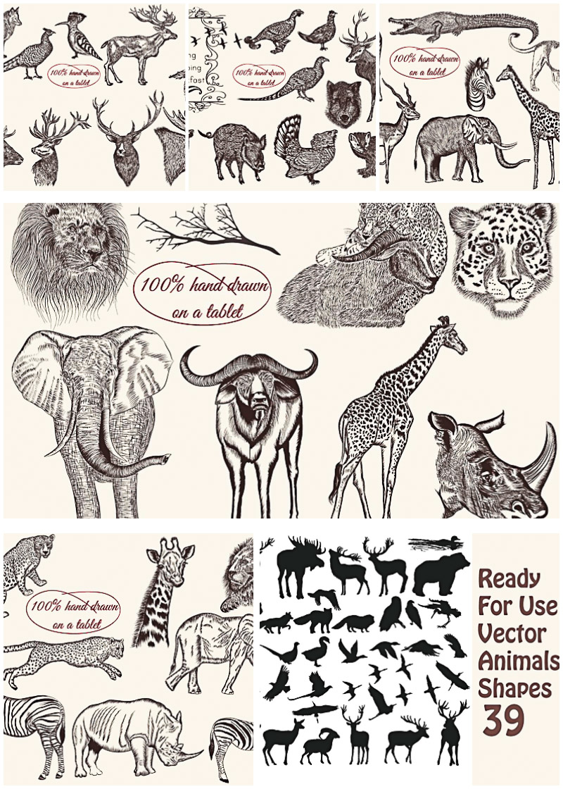 800x1120 Engraved Wild Animals Vector Bundle Free Download
