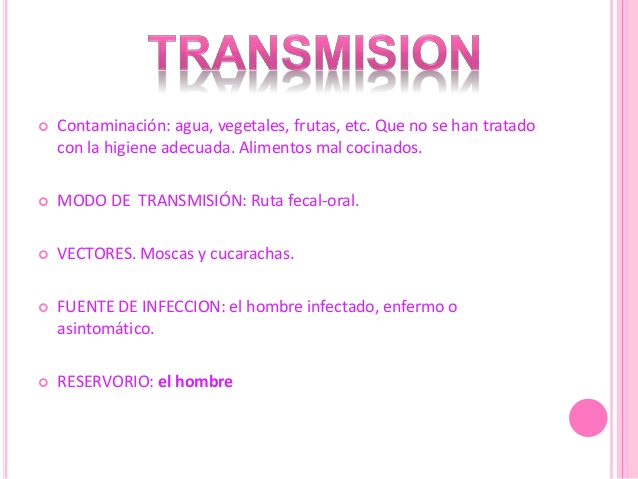 638x479 Entamoeba Histolytica