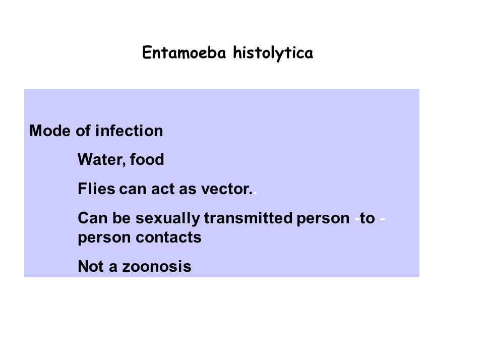 960x720 Intestinal` Protozoa