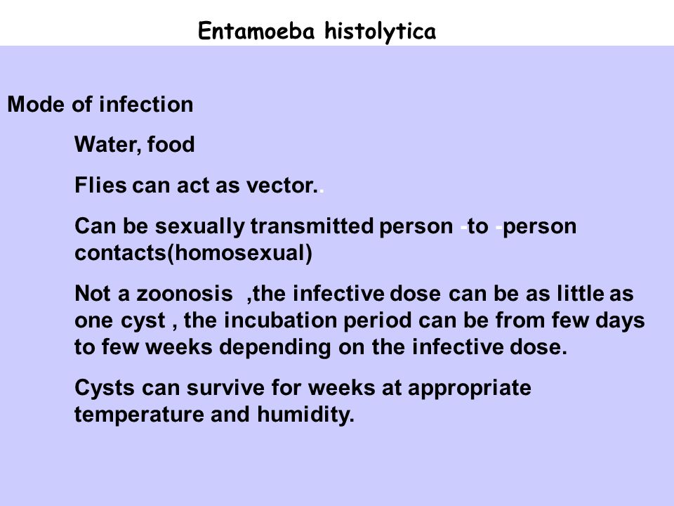 960x720 Intestinal` Protozoa