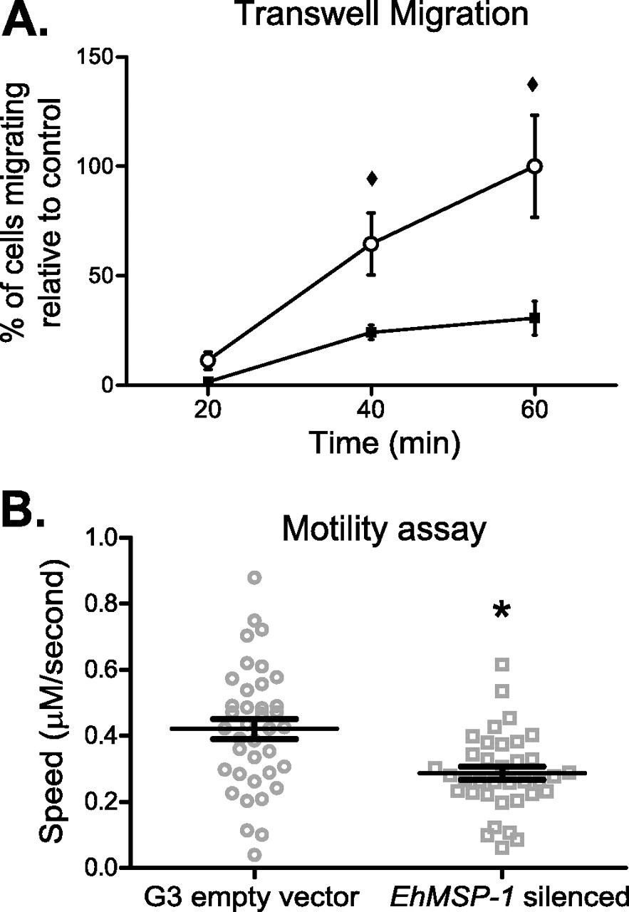 883x1280 Control Of Entamoeba Histolytica Adherence Involves Metallosurface