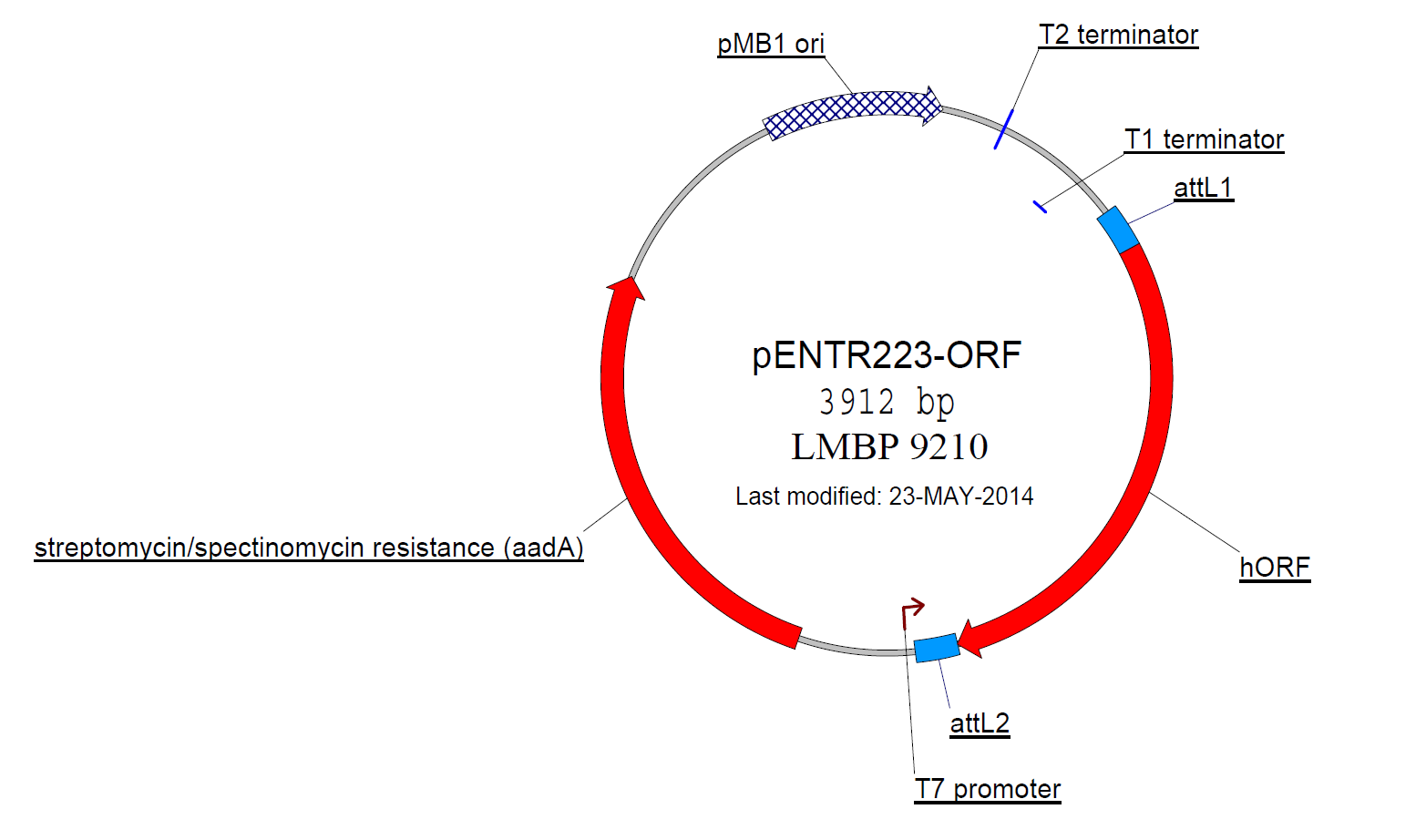 1565x922 Human Orfeome Entry Plasmids Bccm Belgian Coordinated