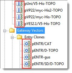 238x240 Step Specify The Vector And Entry Clone