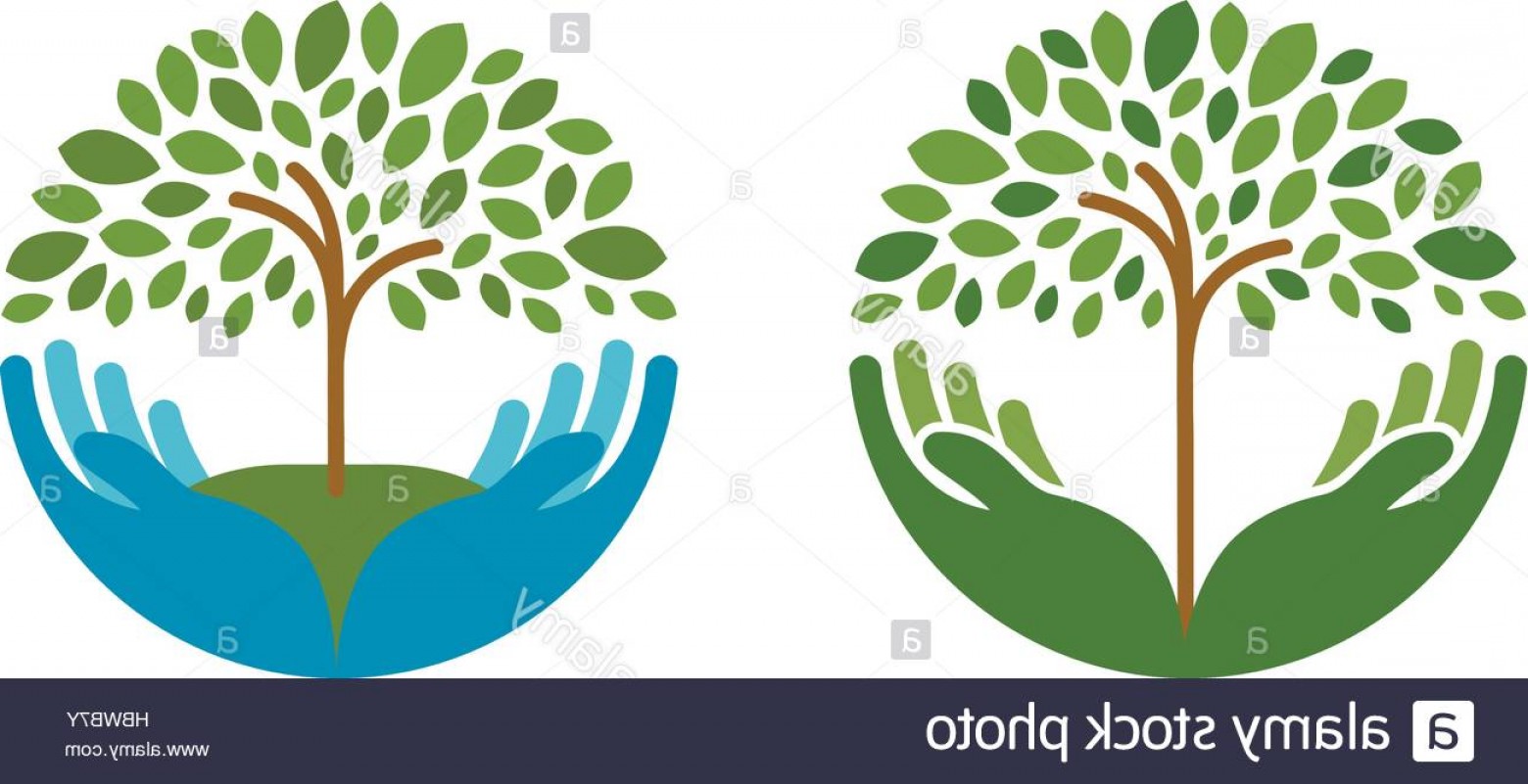 1560x801 Stock Photo Ecology Natural Environment Vector Logo Tree Gardening