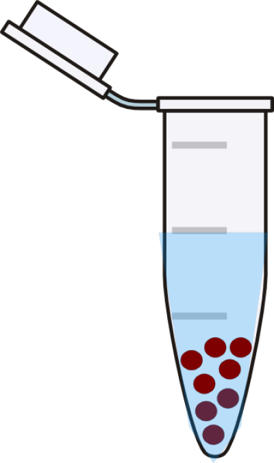 400x676 Free Png Images