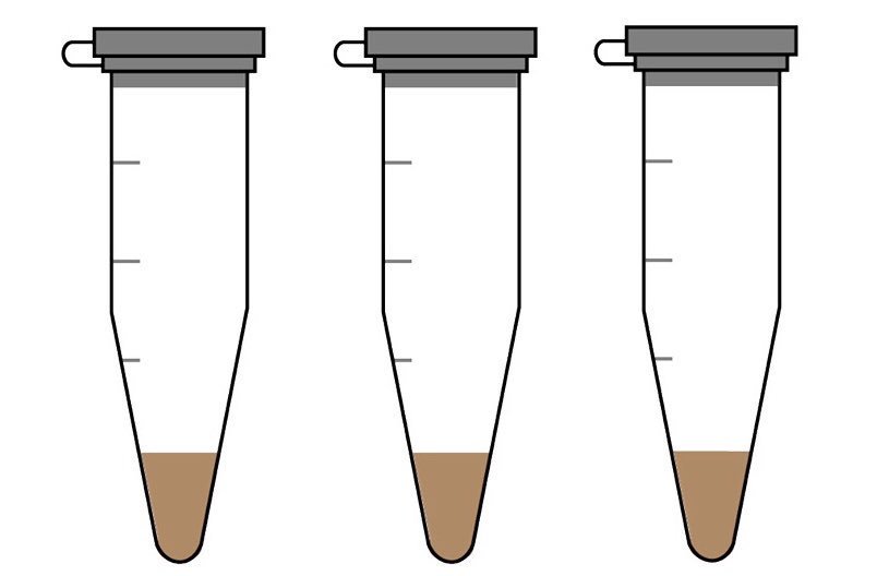 815x528 Kelsey On Twitter What I Should Be Doing Copy