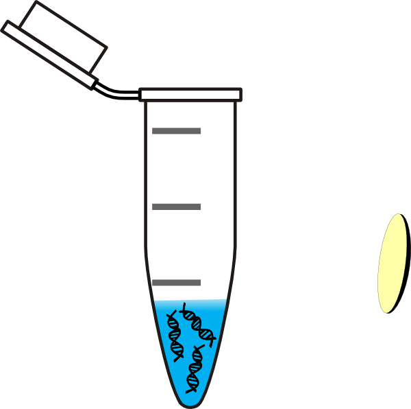 600x596 Dna Clipart Tube For Free Download And Use Images In Presentations
