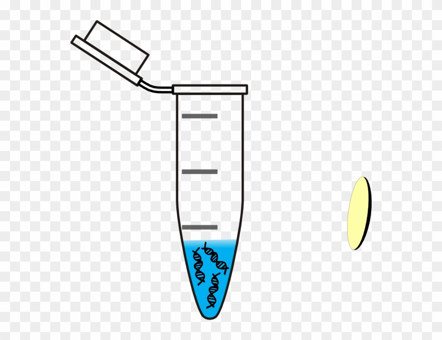 880x676 Tube Clipart Water Testing