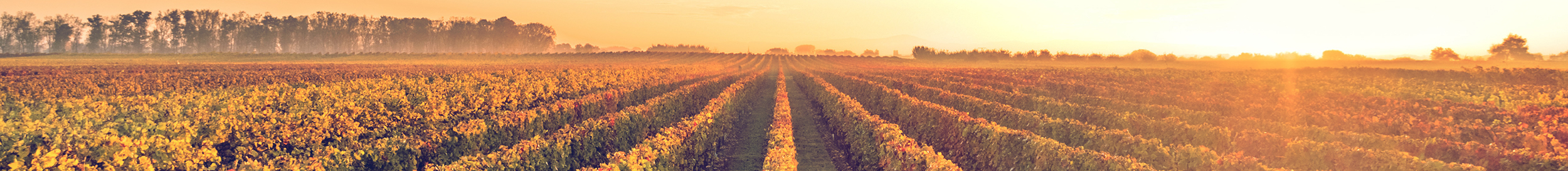 2500x274 Equal Housing Lender Golden State Farm Credit