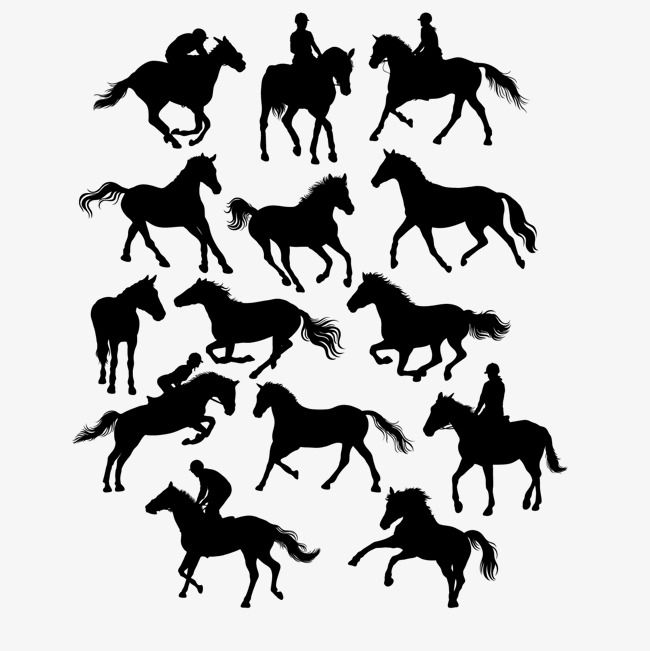 Creative Equestrian Horse With Silhouette Vector Material 650x651 Creative Equestrian Horse With Silhouette Vector Material