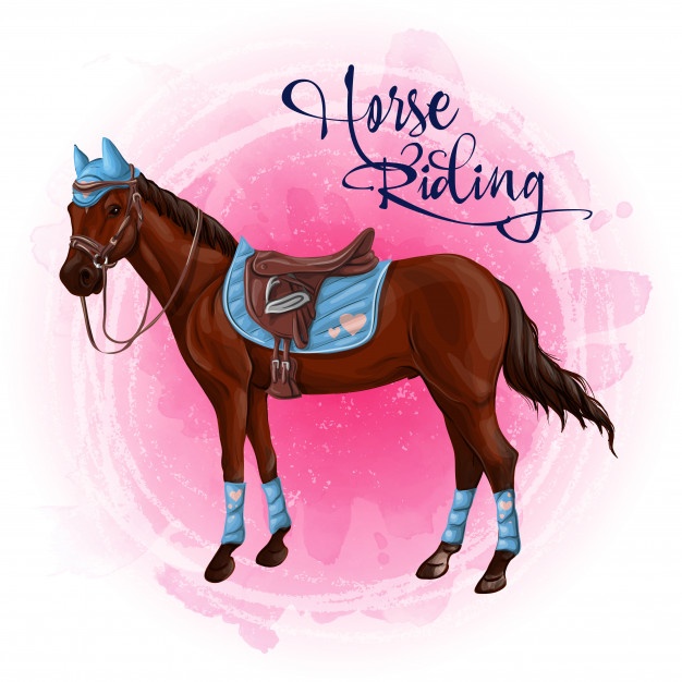 Equestrian Vectors, Photos And Free Download 626x626 Equestrian Vectors, Photos And Free Download