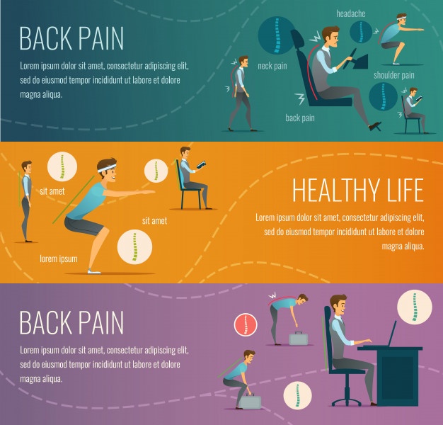 626x600 Ergonomic Vectors, Photos And Free Download