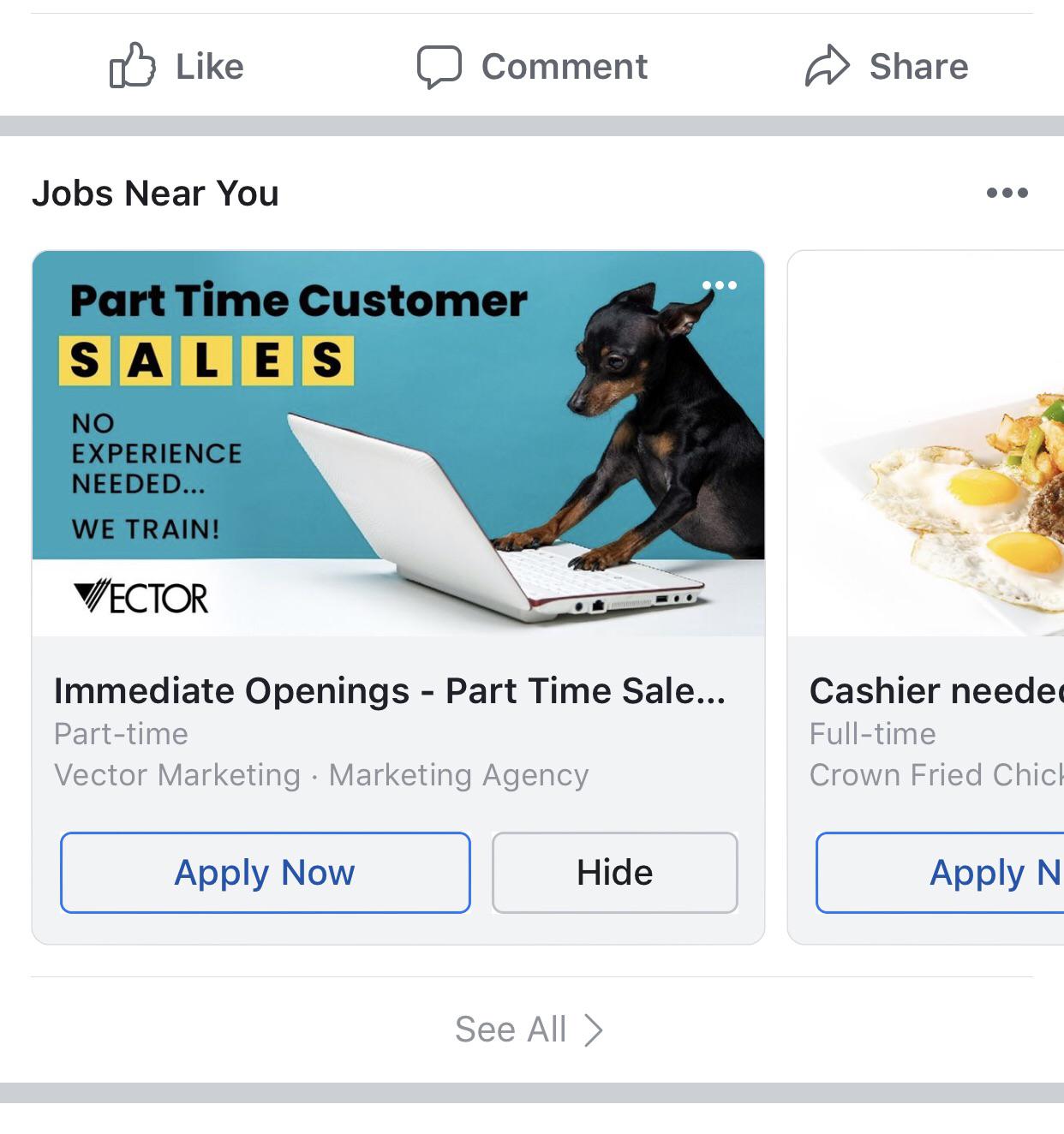 1242x1324 Can't Escape Vector Even During Summer Break Umd