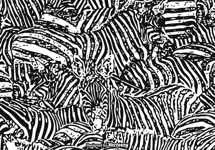700x490 Free Vector Zebra Print Background