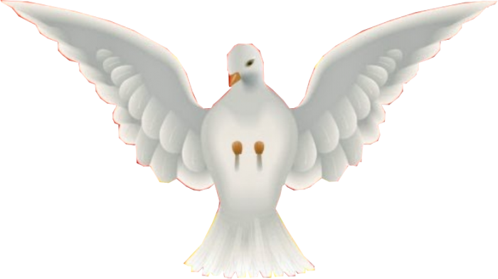 700x392 Santo Png Vector, Clipart