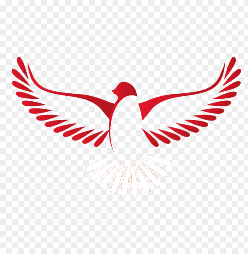 840x859 Imagem Espirito Santo Png