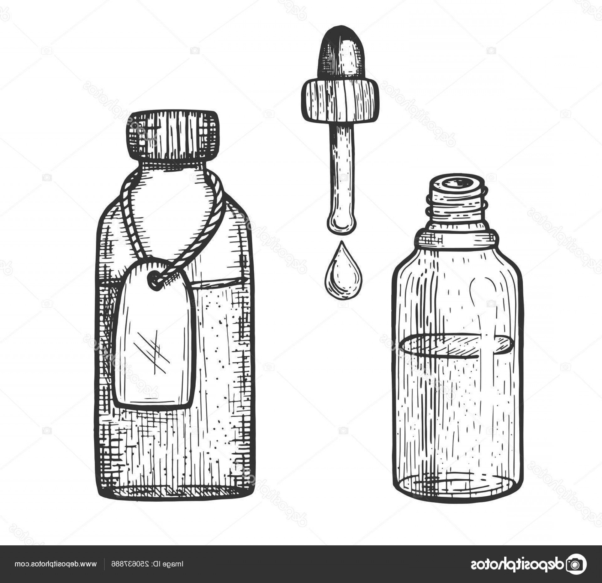 Essential Oil Vector Catchsplace 1920x1857 Essential Oil Vector Catchsplace