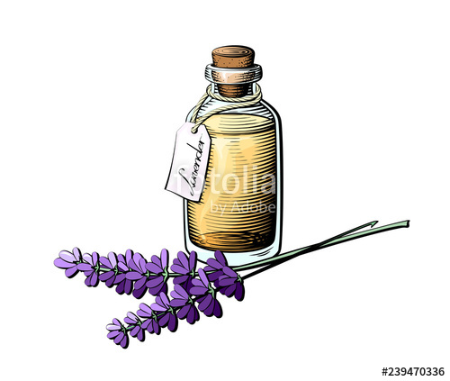 Lavender Oil Bottle Illustration Colored Essential Oil Glass 500x423 Lavender Oil Bottle Illustration Colored Essential Oil Glass