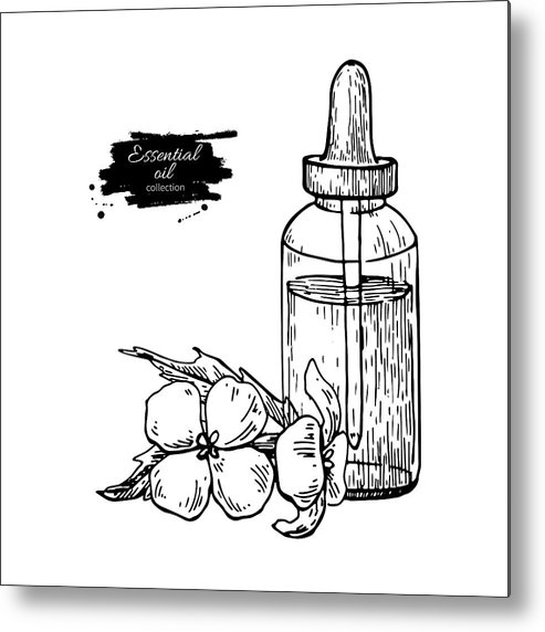 Mustard Essential Oil Bottle And Flower Hand Drawn Vector 493x572 Mustard Essential Oil Bottle And Flower Hand Drawn Vector