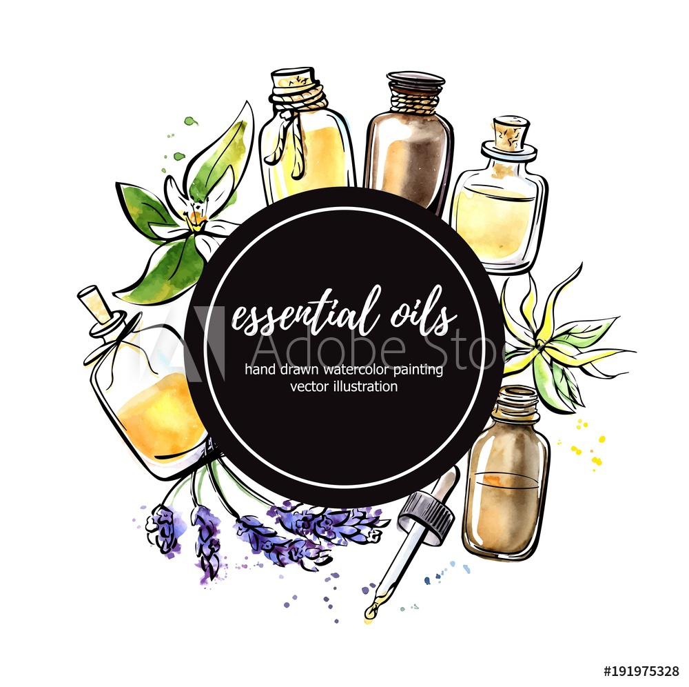 Essential Oil Bottle Vector at Vectorified.com | Collection of ...