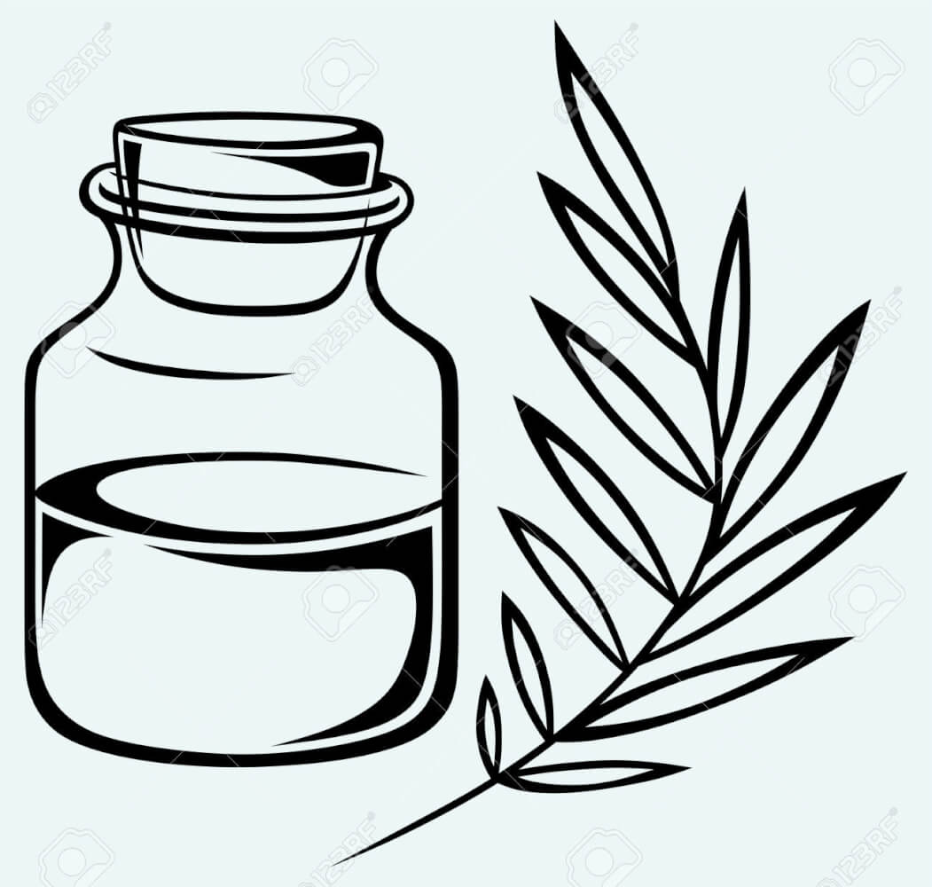 Essential Oil Vector