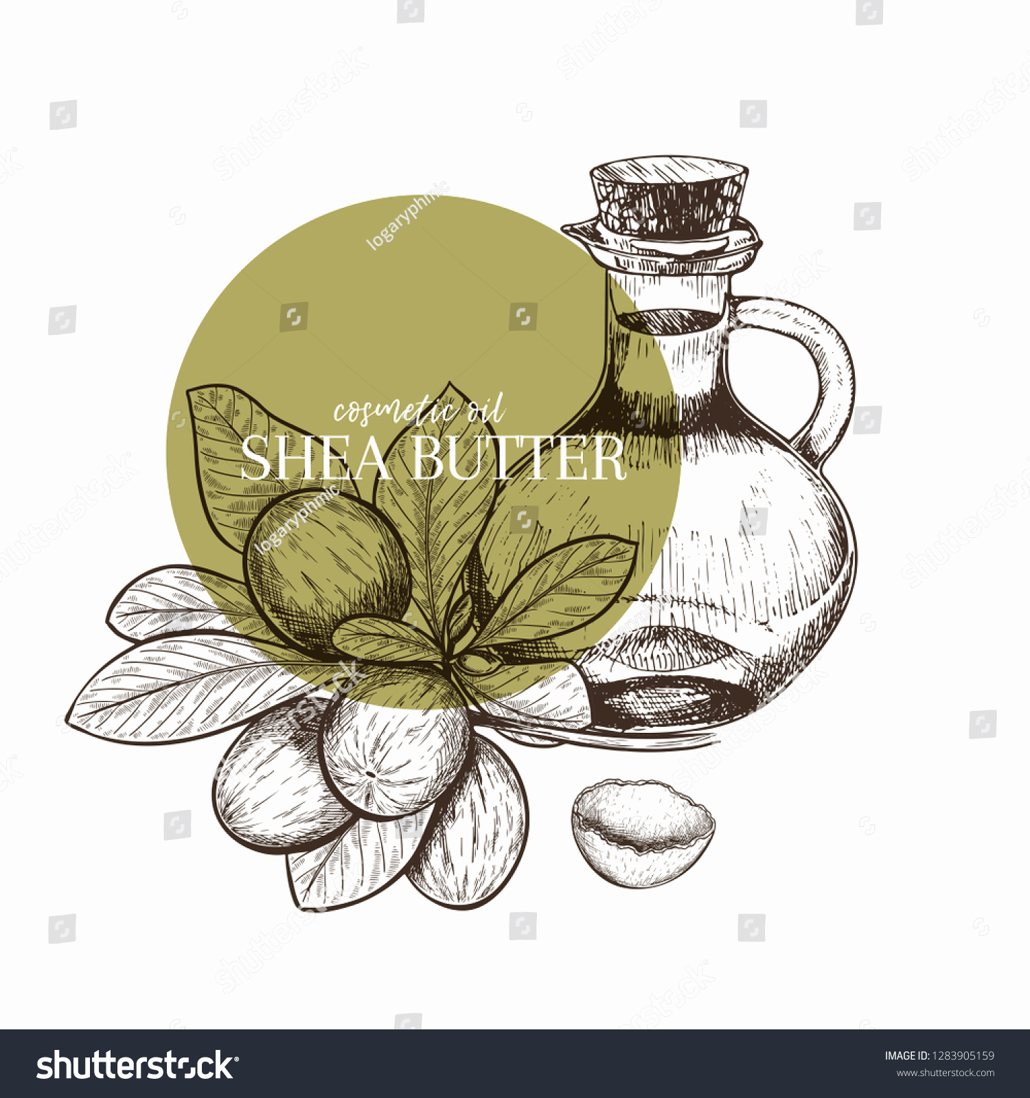 1500x1600 Pill Bottle Drawing Unique Hand Drawn Set Essential Oils Vector