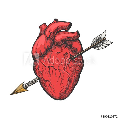 500x500 Human Heart With Arrow Drawing Real Vector Love Heart Tattoo