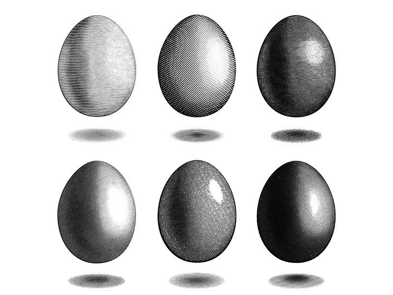 800x600 Vector Engraving Eggs